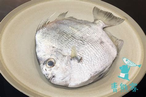 銅盤 魚